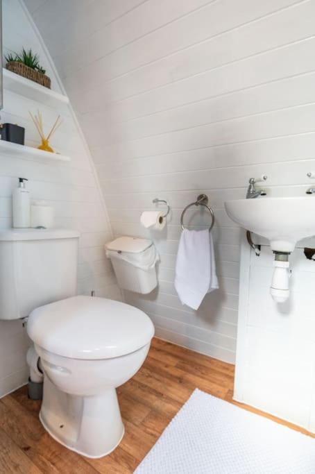 Robin Nest - Cosy Shepherd'S Hut Hideaway Callington المظهر الخارجي الصورة