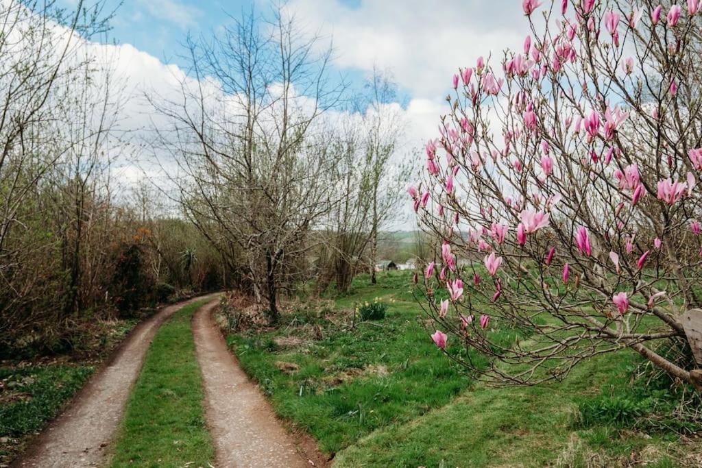 Robin Nest - Cosy Shepherd'S Hut Hideaway Callington المظهر الخارجي الصورة